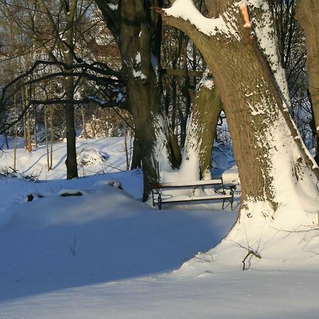 Somhegyi Öreg Hársfák Major Vendégház Bakonybél Exterior foto