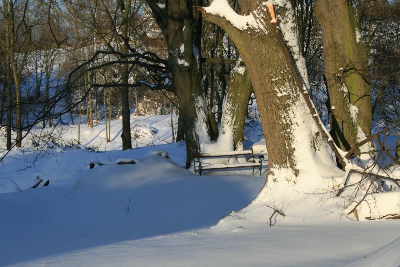 Somhegyi Öreg Hársfák Major Vendégház Bakonybél Exterior foto